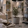Réussir la location de plantes pour stand : stratégie végétale pour exposants exigeants
